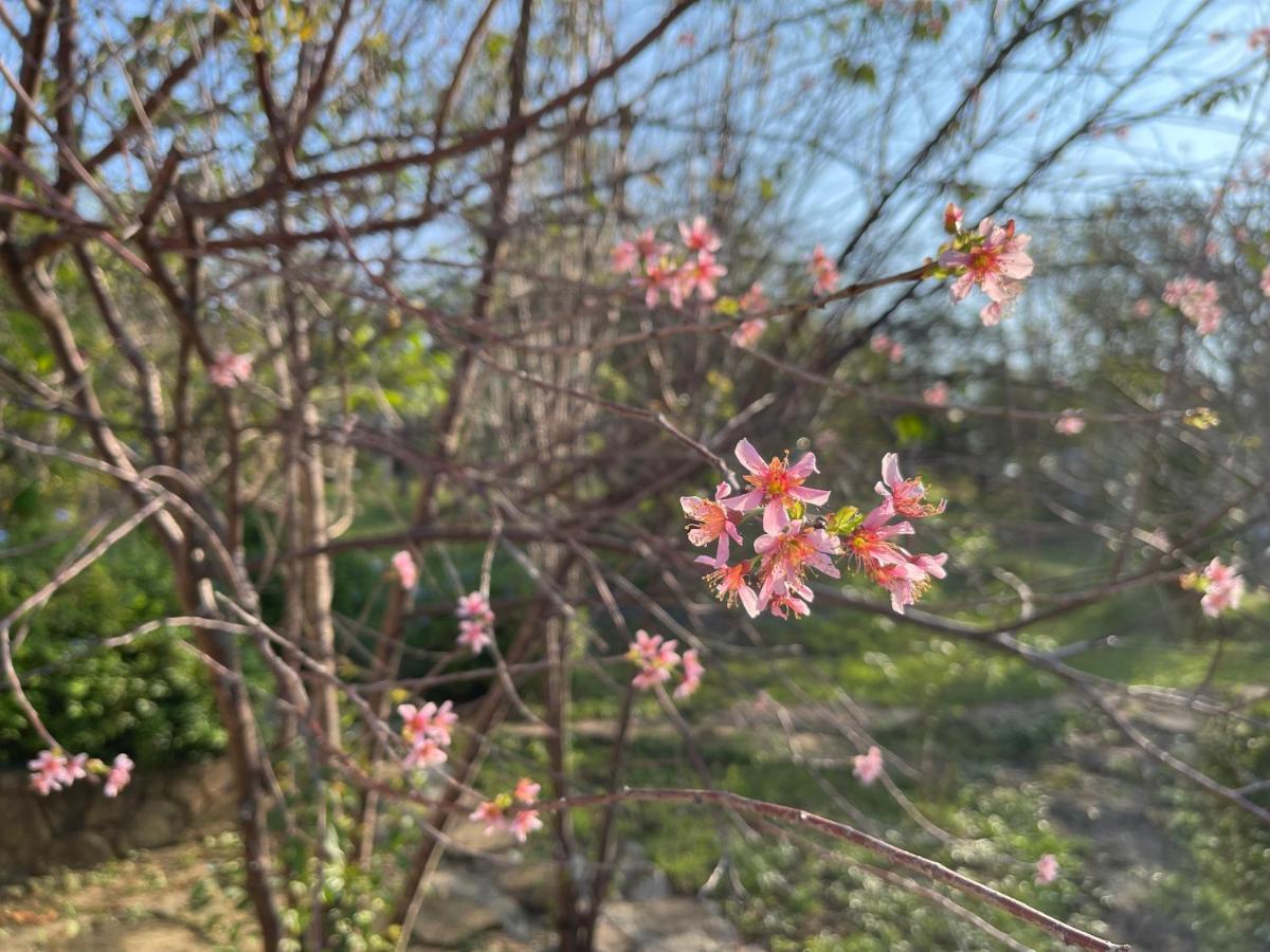 Cozycomo Nam Nao Ban Phu Hi 외부 사진