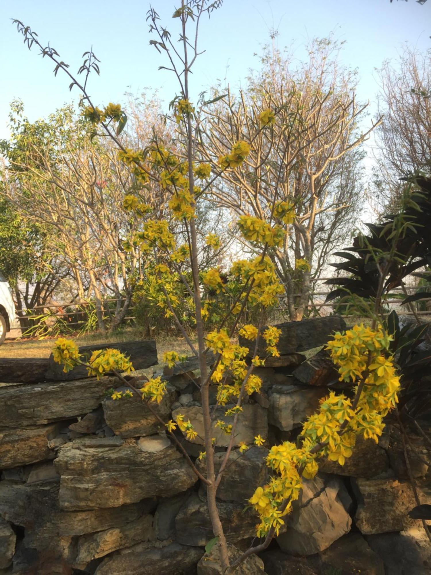 Cozycomo Nam Nao Ban Phu Hi 객실 사진